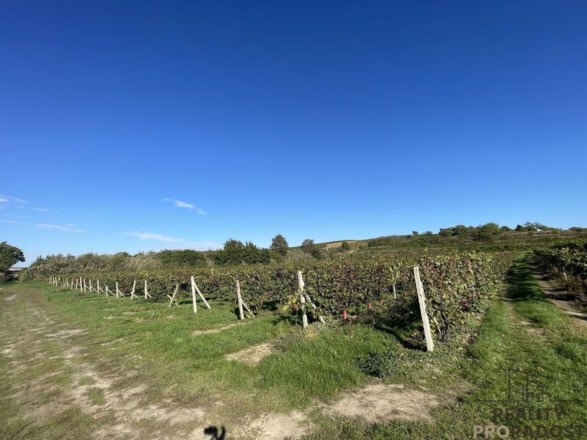Photo 3 - Land for sale · Vineyard · 11 340 m²
