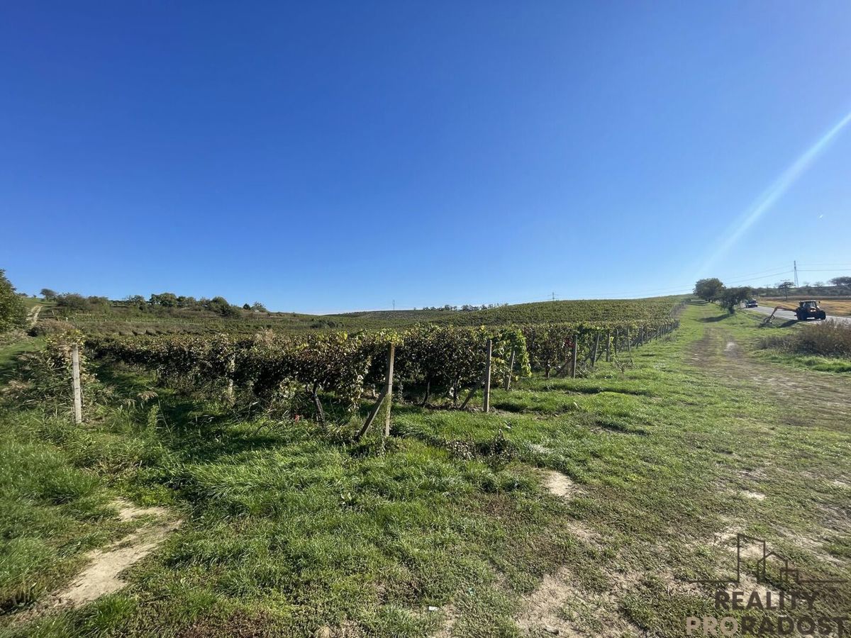 Photo 1 - Land for sale · Vineyard · 11 340 m²