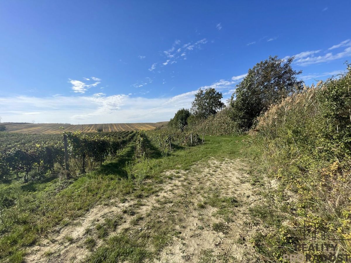 Photo 4 - Land for sale · Vineyard · 11 340 m²