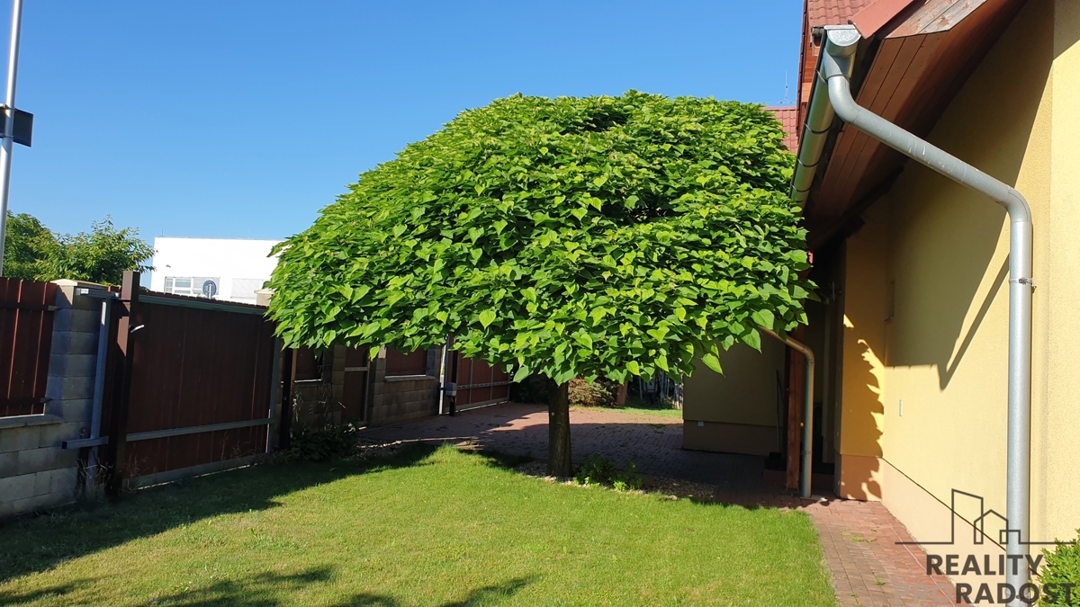 Photo 4 - House for sale · Family house · 369 m²