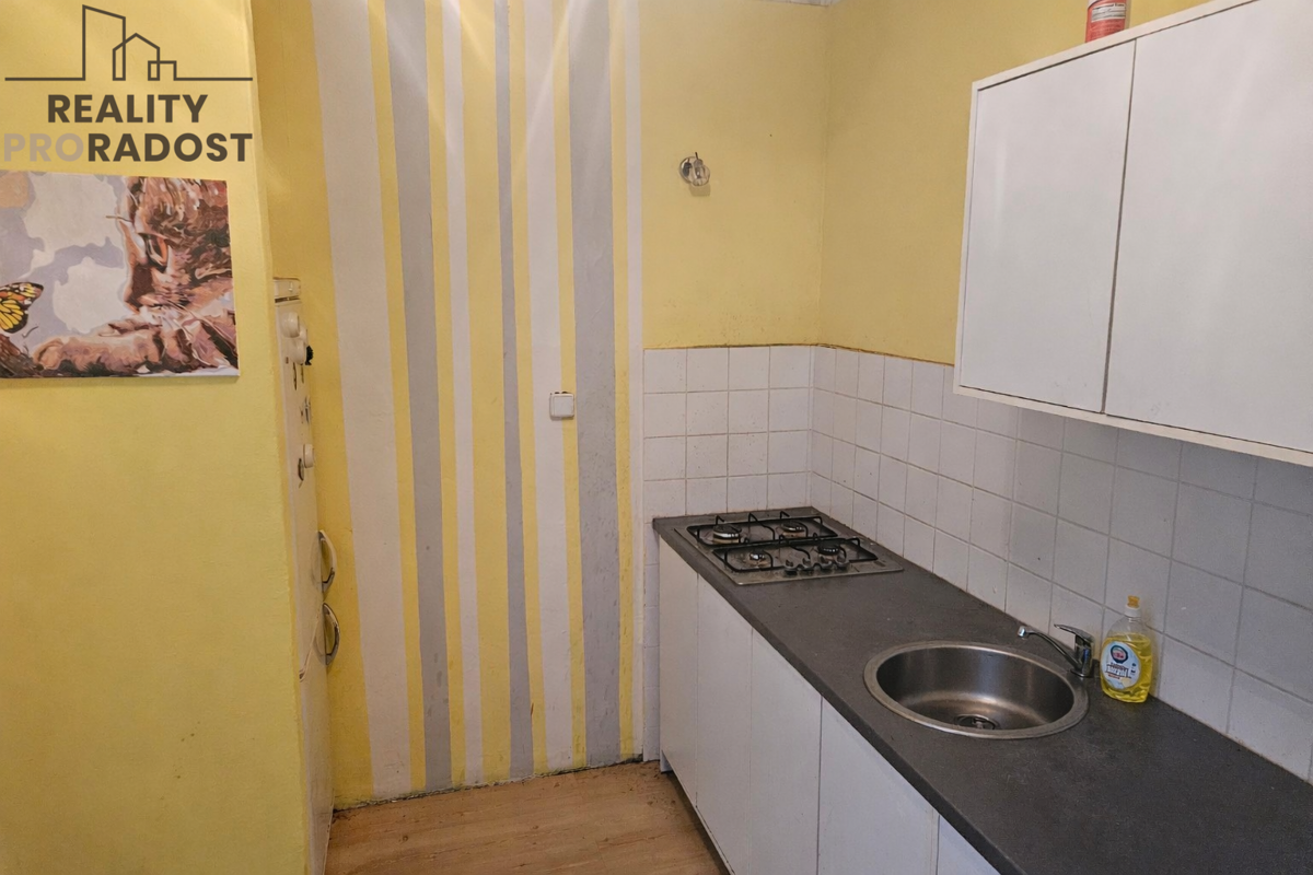 Fotografie 4 - Prodej bytu · 2+1 · 52 m²