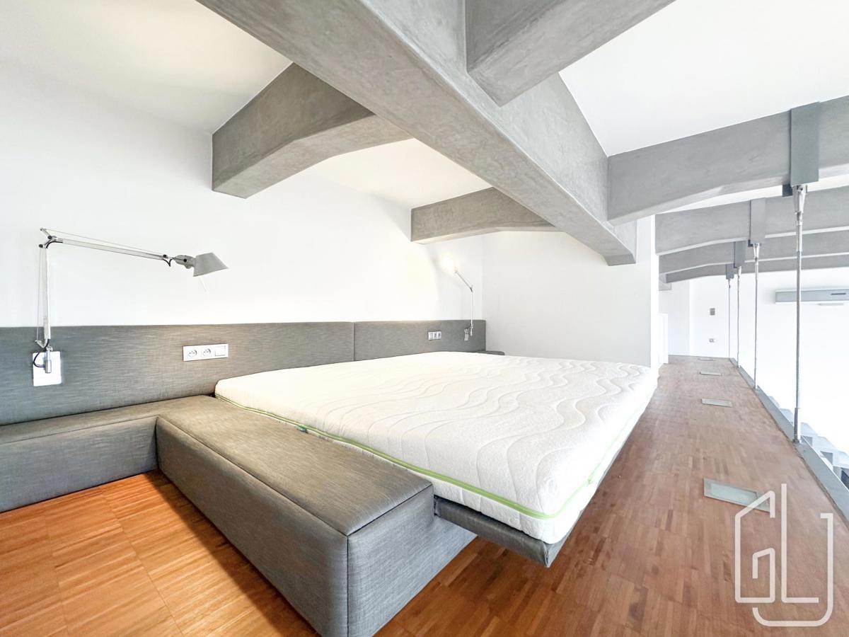 Fotografie 1 - Pronájem bytu · 1+kk · 114 m²