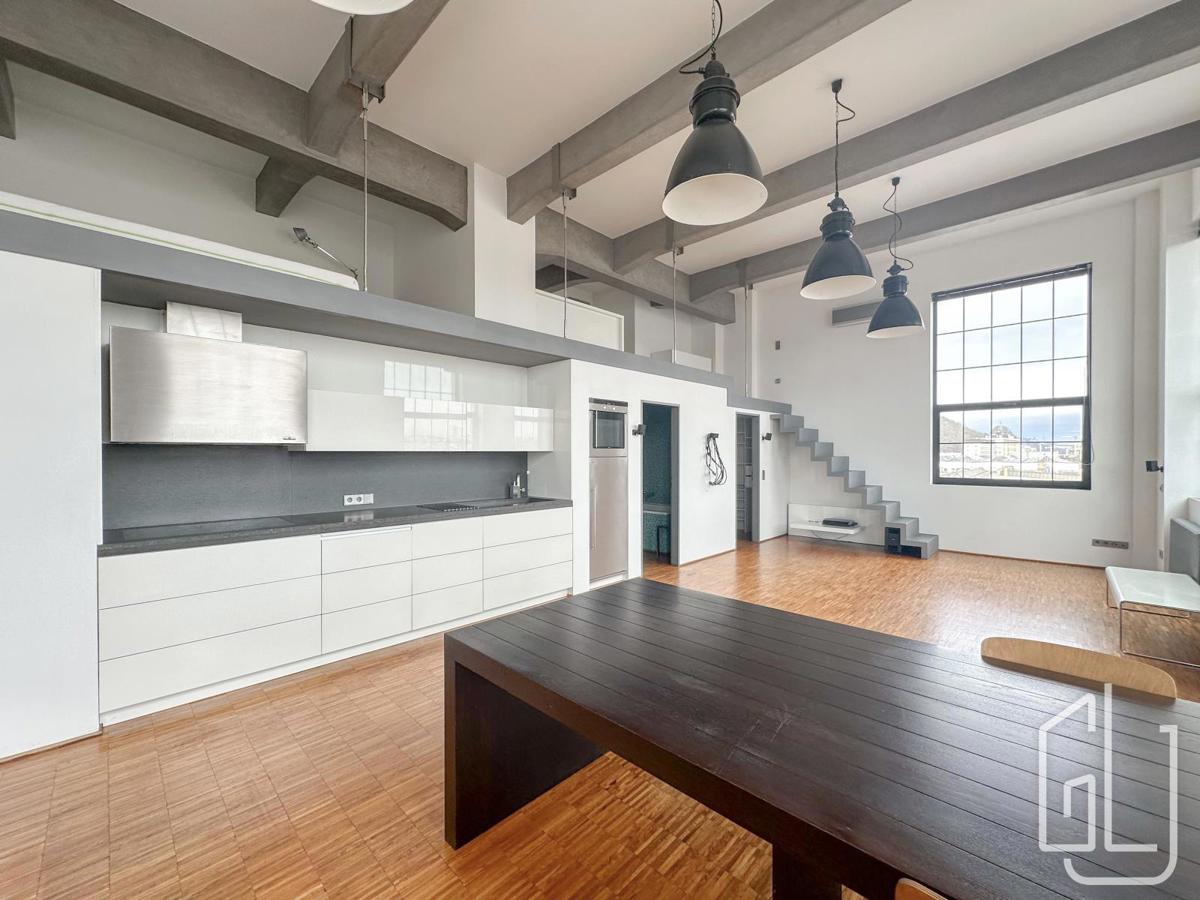Fotografie 4 - Pronájem bytu · 1+kk · 114 m²