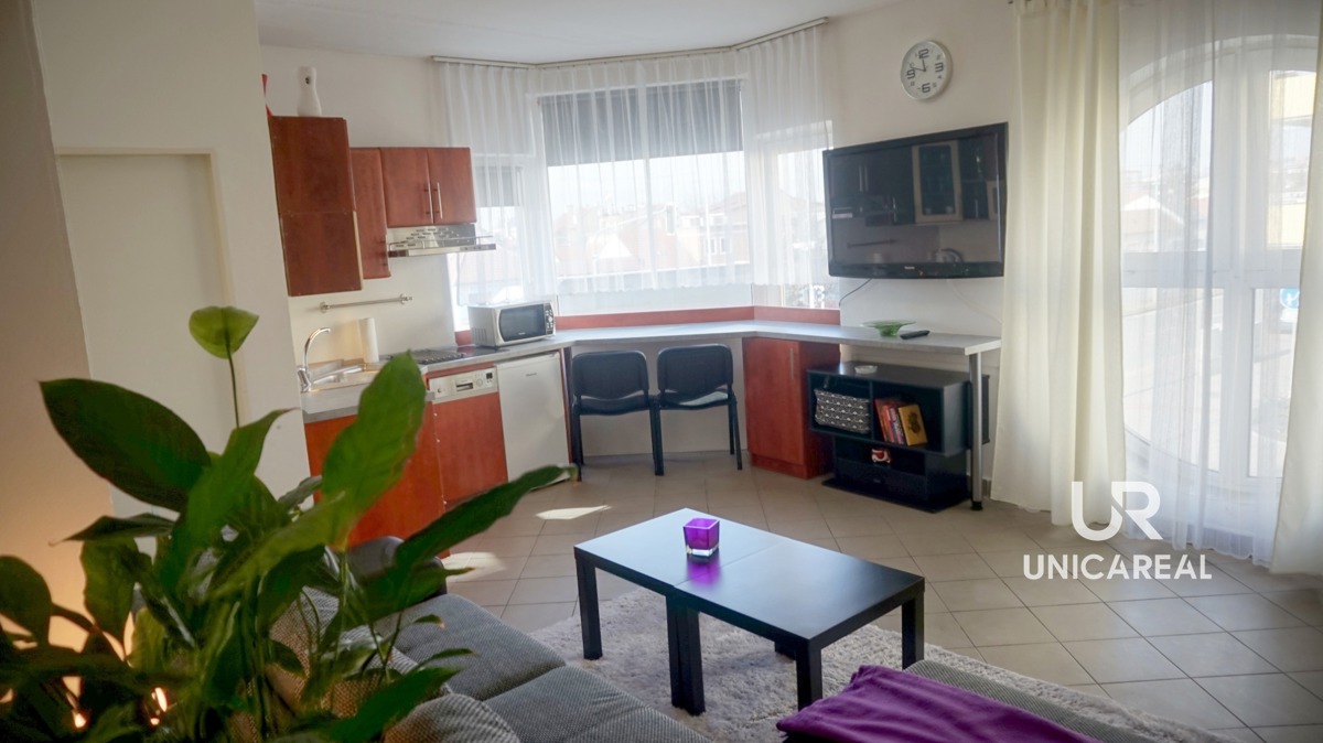 Hình ảnh 1 - Căn hộ cho thuê · 1+kk · 33 m²