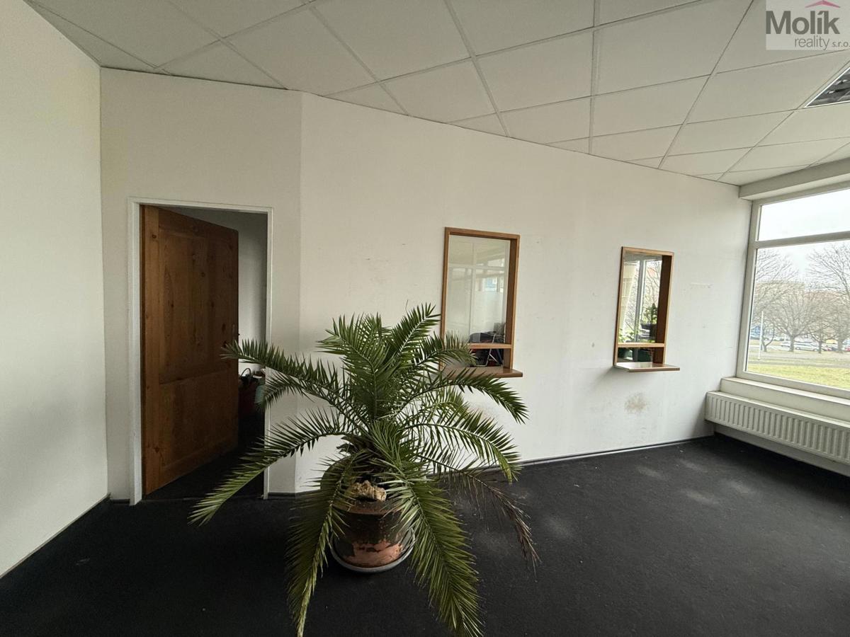 Фото 2 - Аренда коммерческой недвижимости · Офис · 41 m²