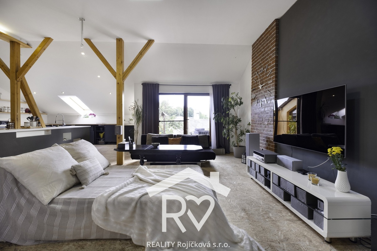 Fotografie 1 - Prodej bytu · 5+kk · 252 m²
