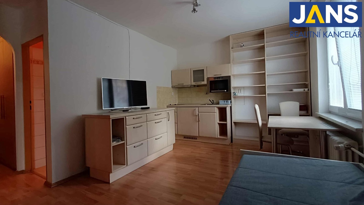 Fotografie 1 - Pronájem bytu · 1+kk · 27 m²