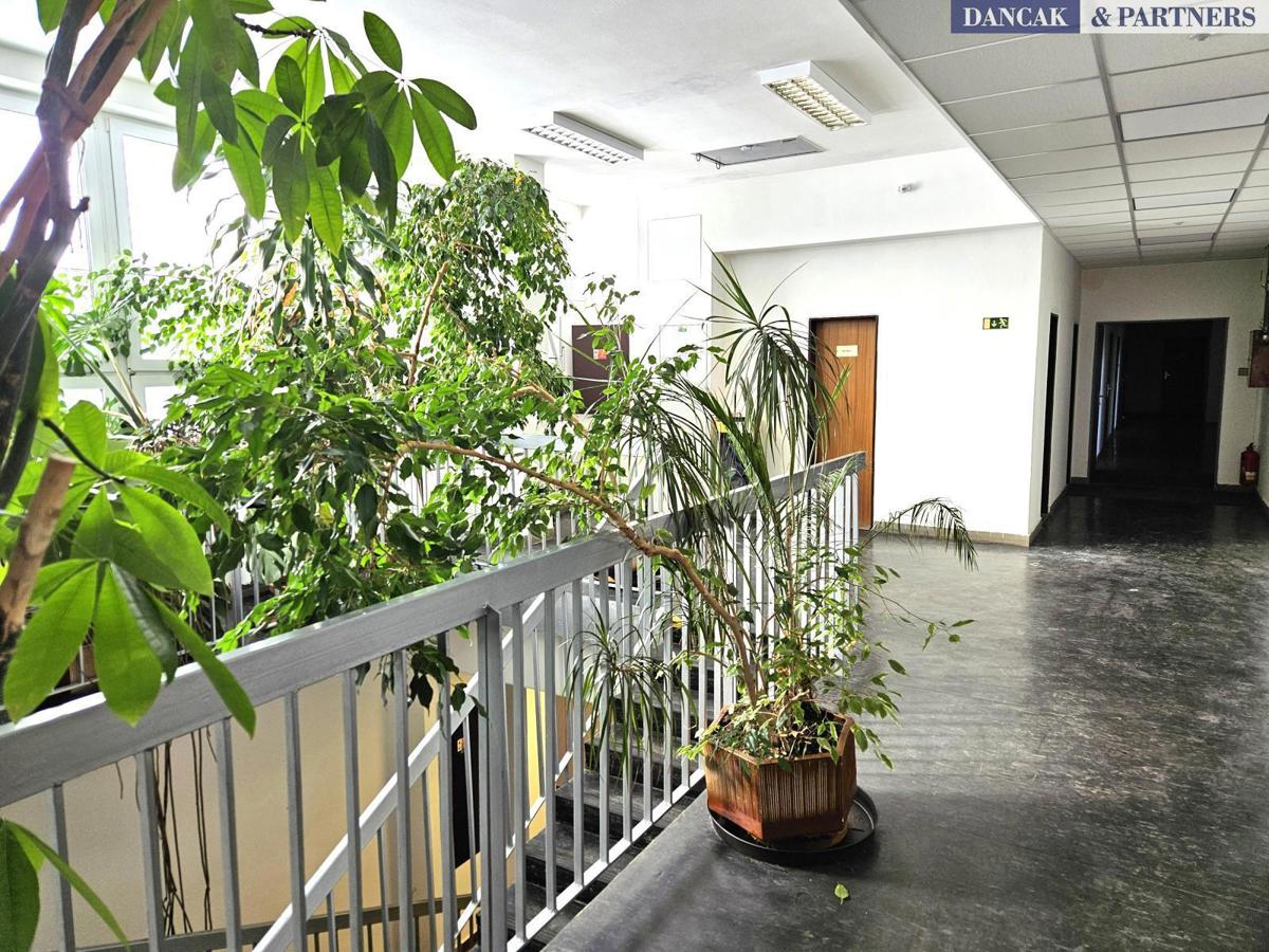 Photo 2 - Commercial property for rent · Office · 16 m²