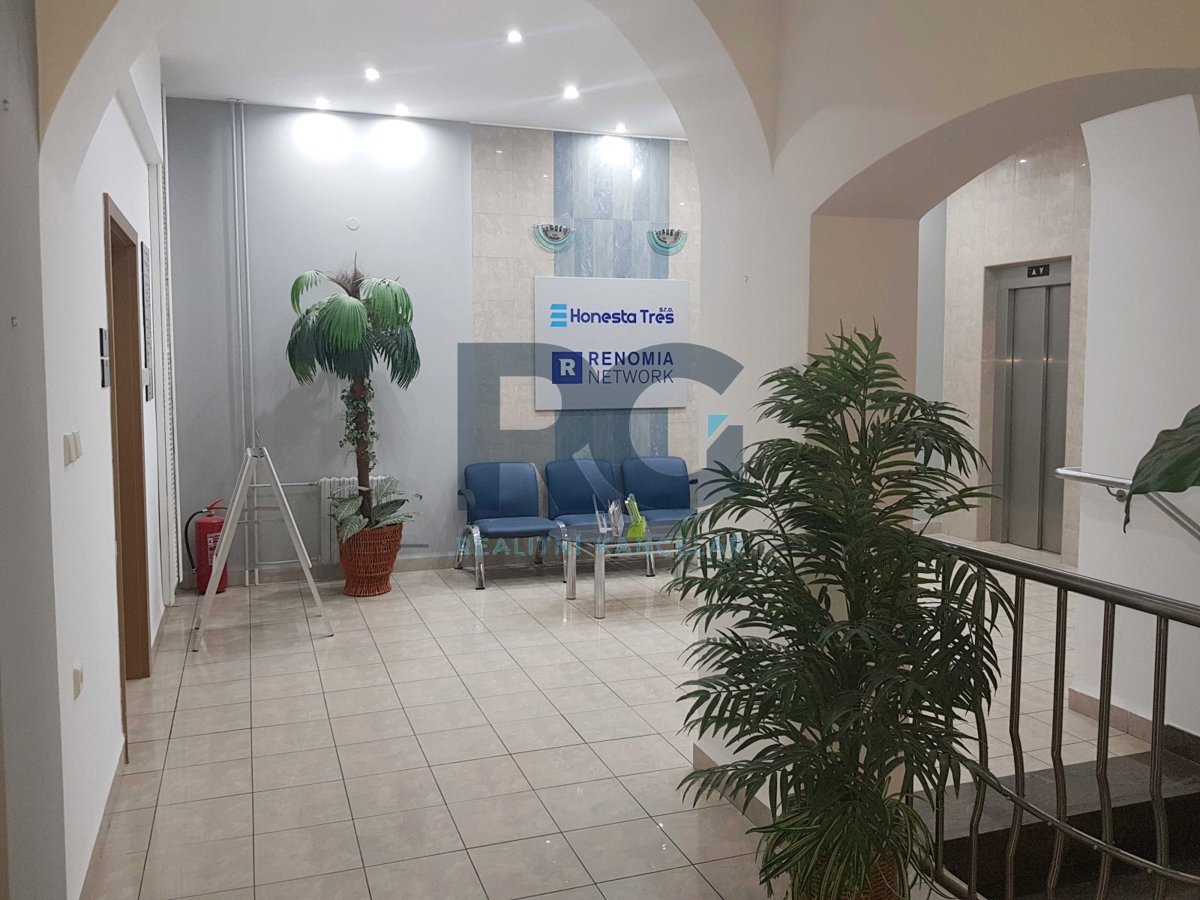 Fotografie 4 - Pronájem komerční nemovitosti · Kancelář · 38 m²