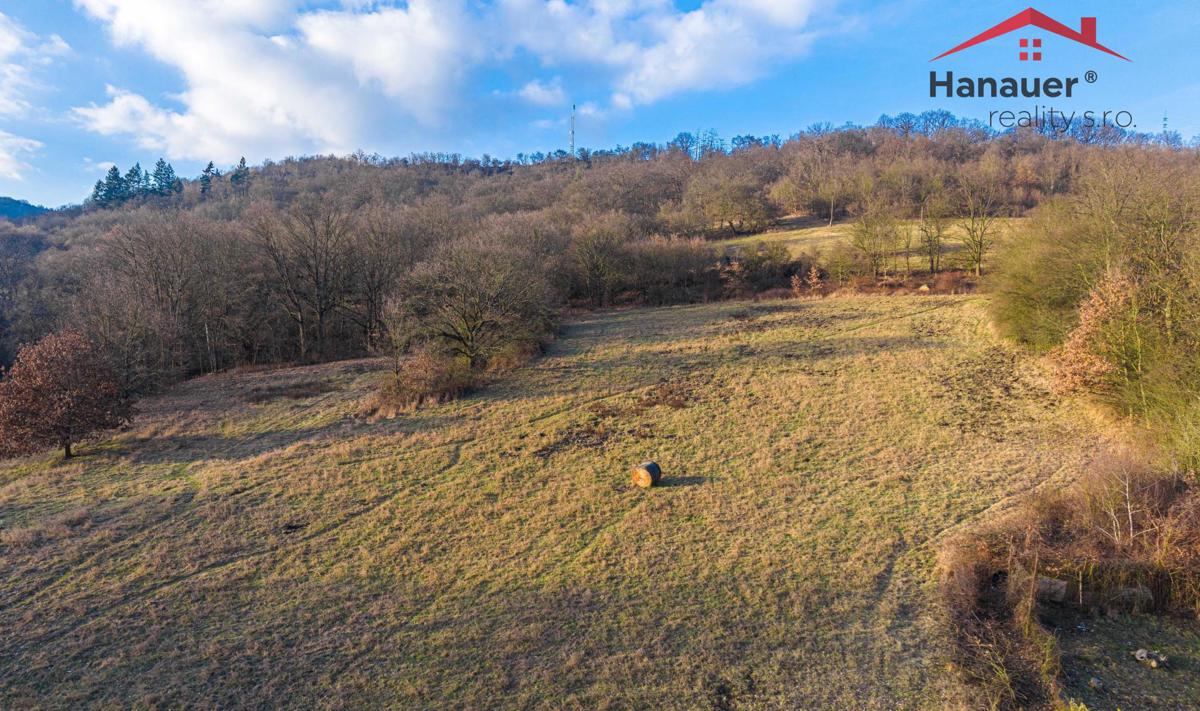 Photo 1 - Land for sale · Housings · 11 413 m²