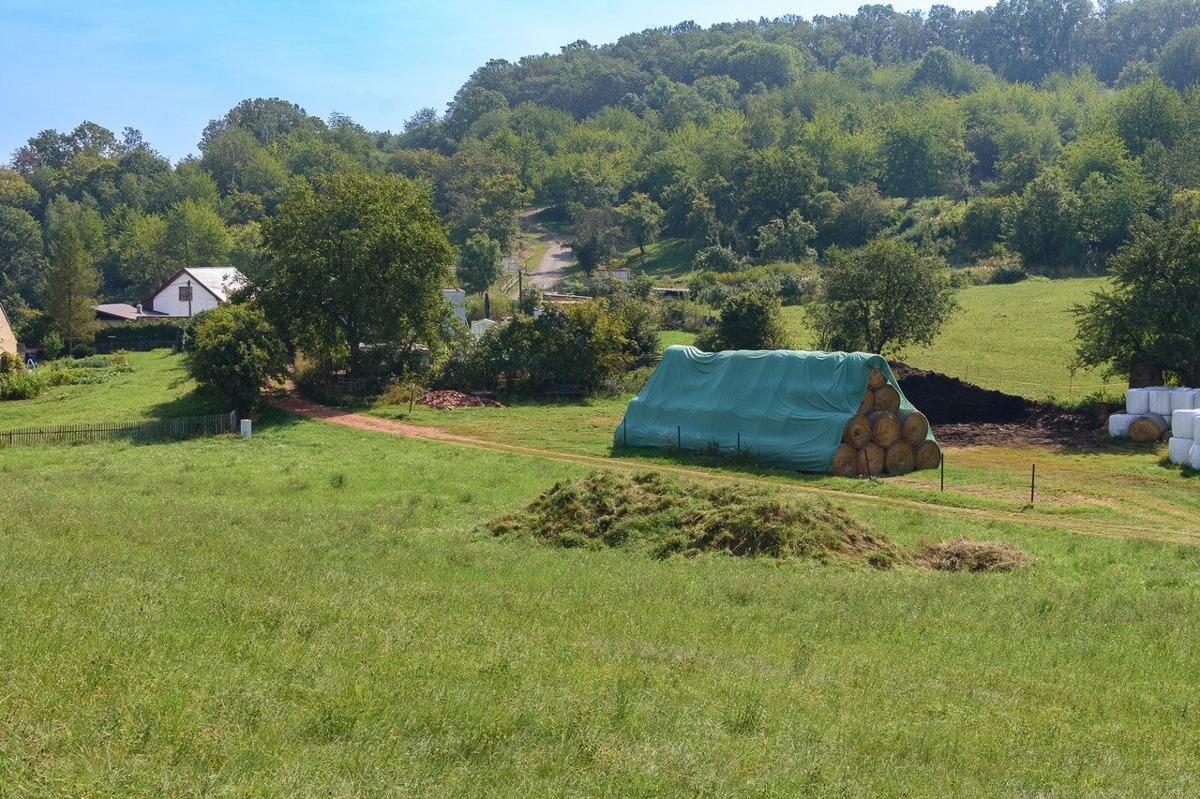 Photo 3 - Land for sale · Housings