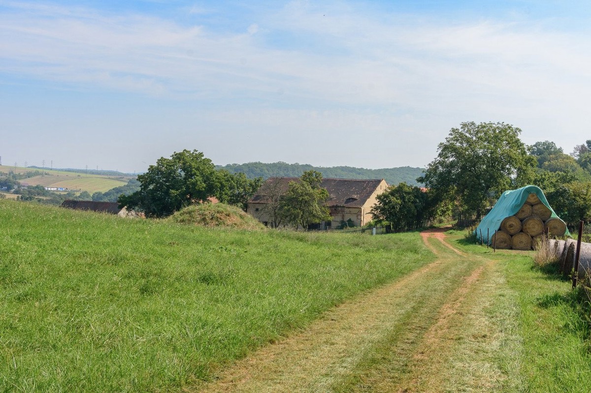 Photo 4 - Land for sale · Housings
