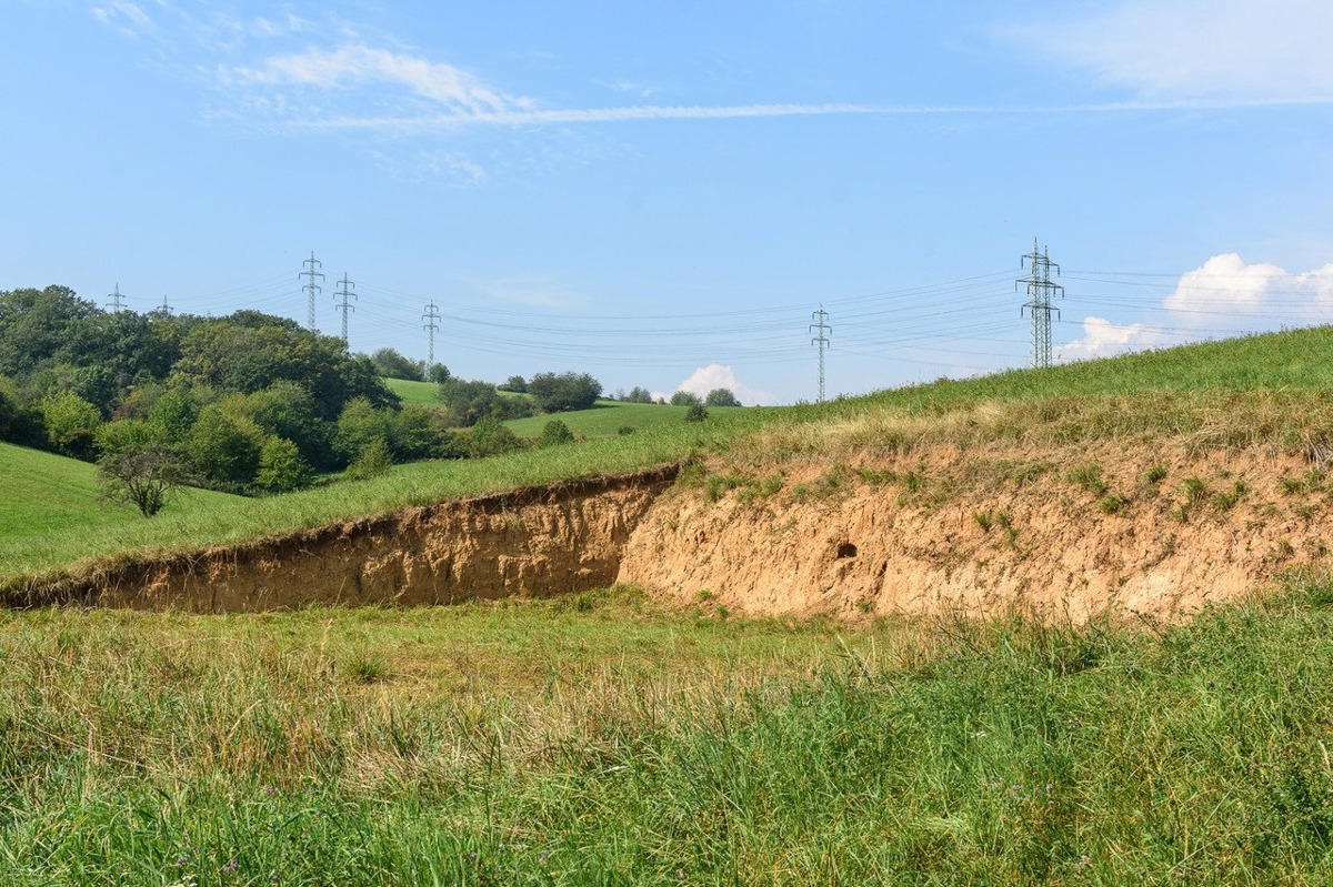 Photo 2 - Land for sale · Housings