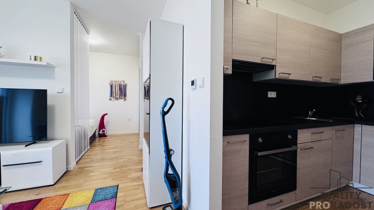 Hình ảnh 3 - Căn hộ cho thuê · 1+kk · 38 m²