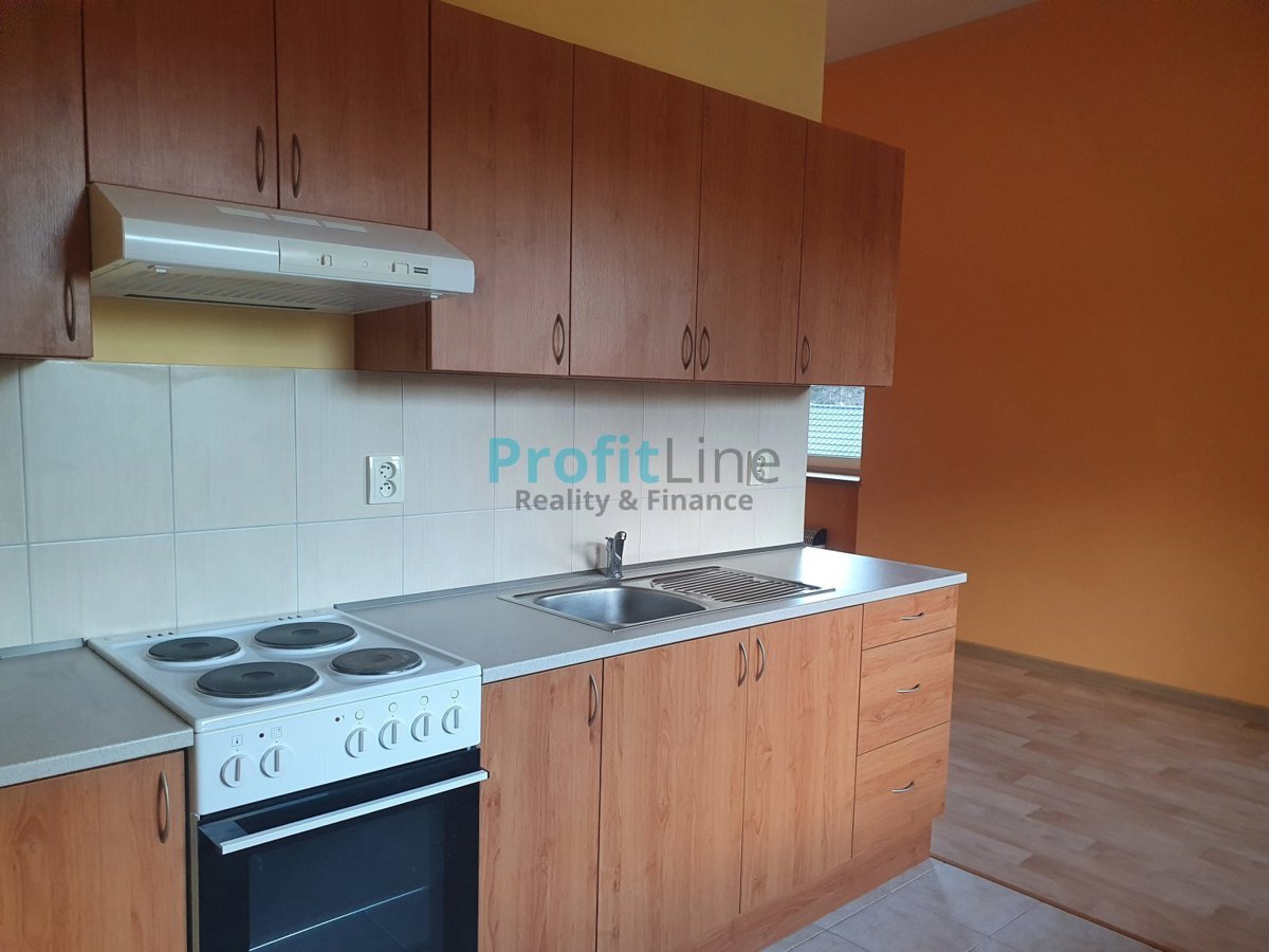 Fotografie 2 - Pronájem bytu · 1+kk · 46 m²