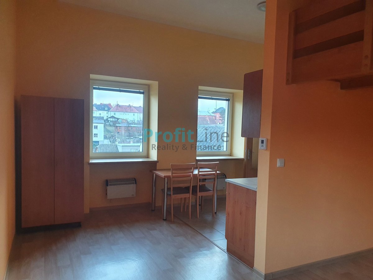 Fotografie 3 - Pronájem bytu · 1+kk · 46 m²