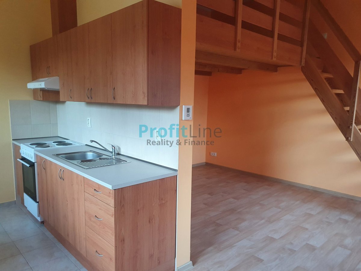 Fotografie 1 - Pronájem bytu · 1+kk · 46 m²