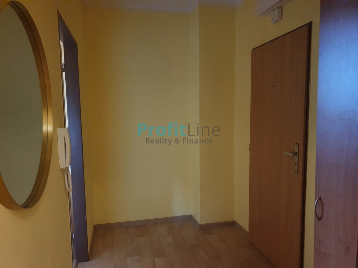 Fotografie 4 - Pronájem bytu · 1+kk · 46 m²