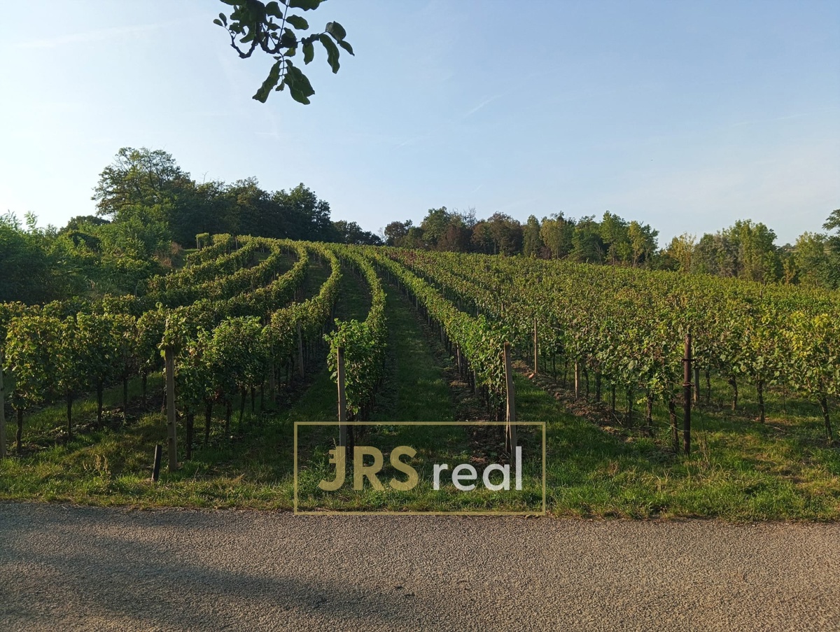 Photo 1 - Land for sale · Vineyard