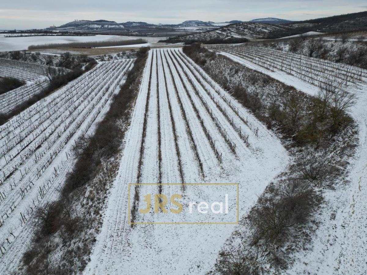 Photo 1 - Land for sale · Vineyard