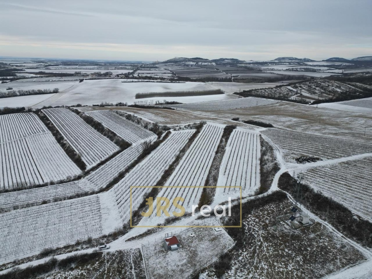 Photo 3 - Land for sale · Vineyard