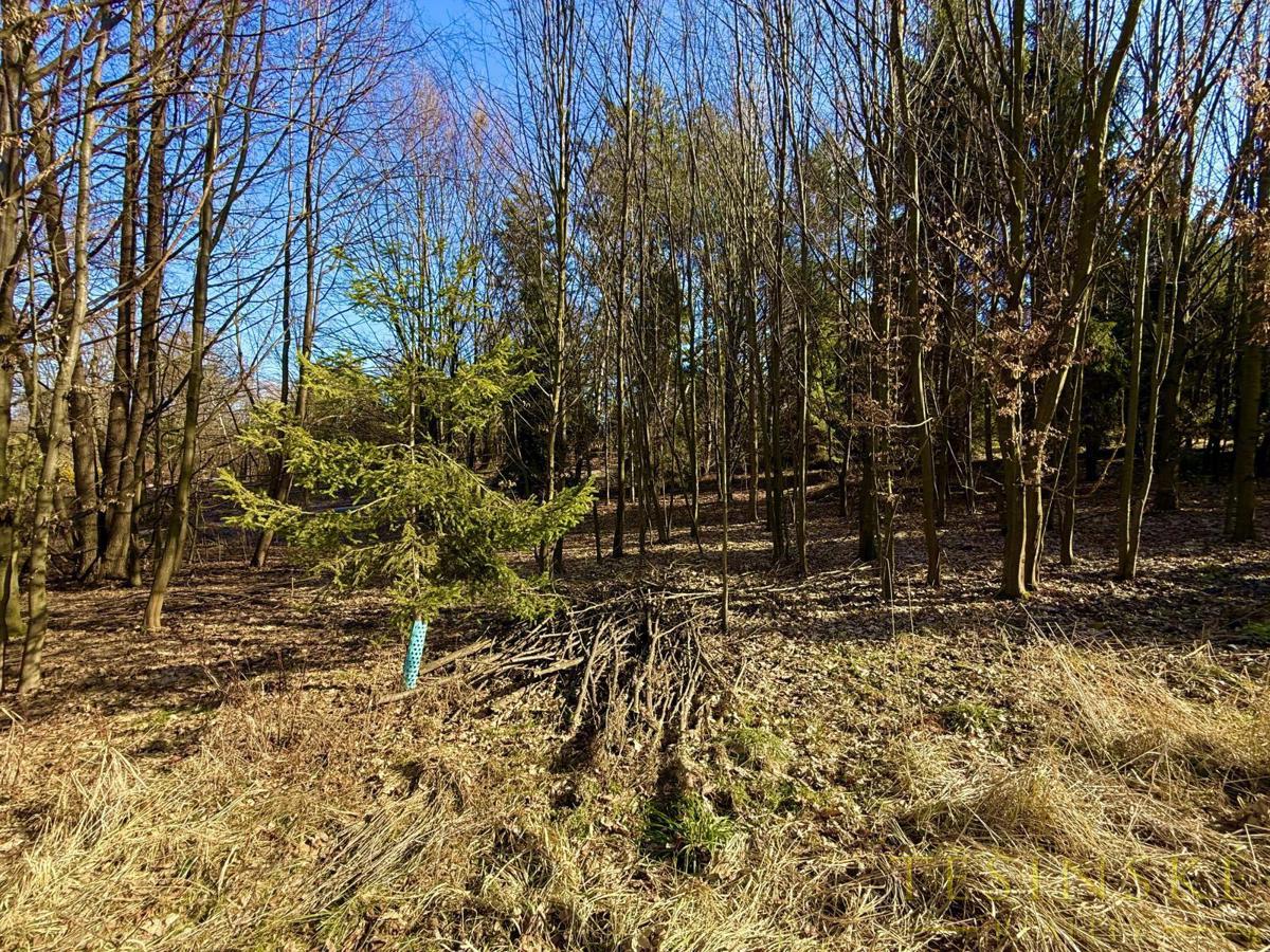 Фото 3 - Продажа участка · Поле · 2 300 m²