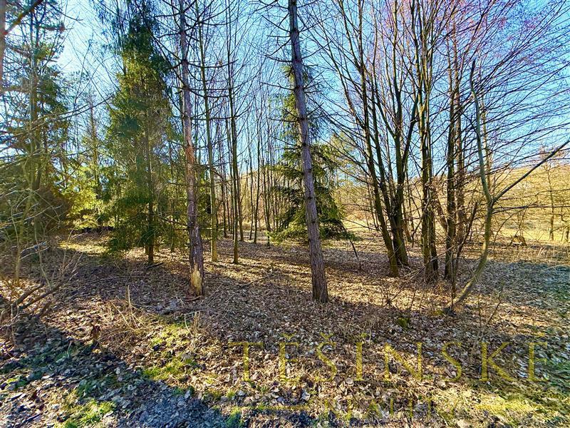 Фото 1 - Продажа участка · Поле · 2 300 m²