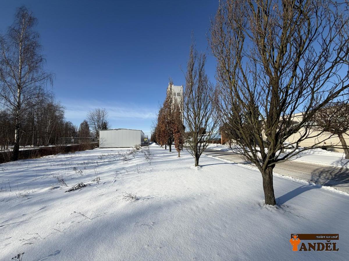 Fotografie 4 - Pronájem komerční nemovitosti · Sklad · 300 m²