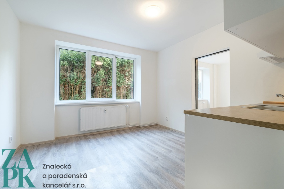 Hình ảnh 3 - Căn hộ cho thuê · 2+kk · 47 m²