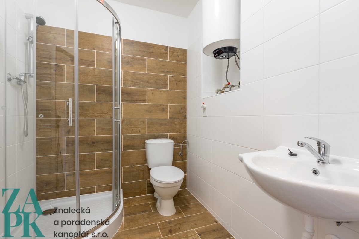 Hình ảnh 3 - Căn hộ cho thuê · 1+1 · 47 m²