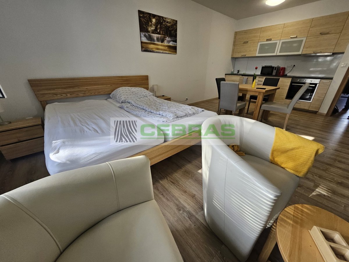 Photo 2 - Apartment for sale · 1+kk · 47 m²