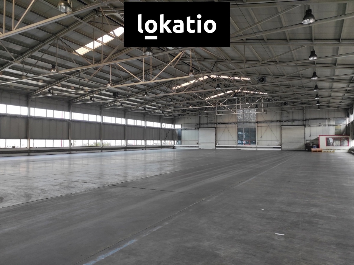 Photo 3 - Commercial property for rent · Warehouse · 4 155 m²