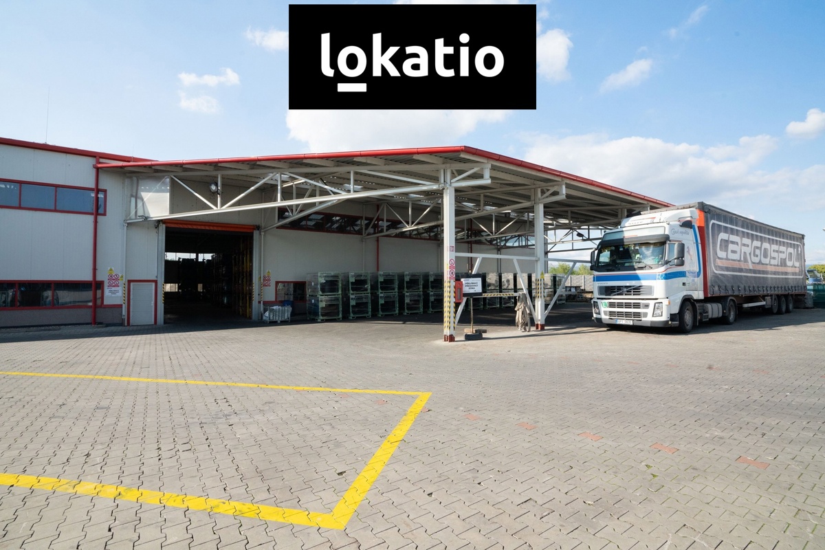Photo 4 - Commercial property for rent · Warehouse · 4 155 m²