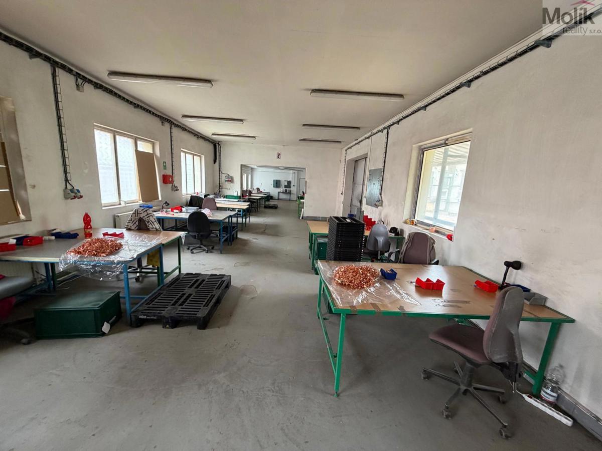 Photo 3 - Commercial property for rent · 1 916 m²