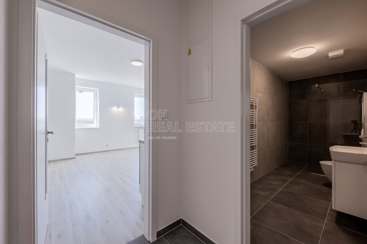 Fotografie 4 - Pronájem bytu · 2+kk · 45 m²