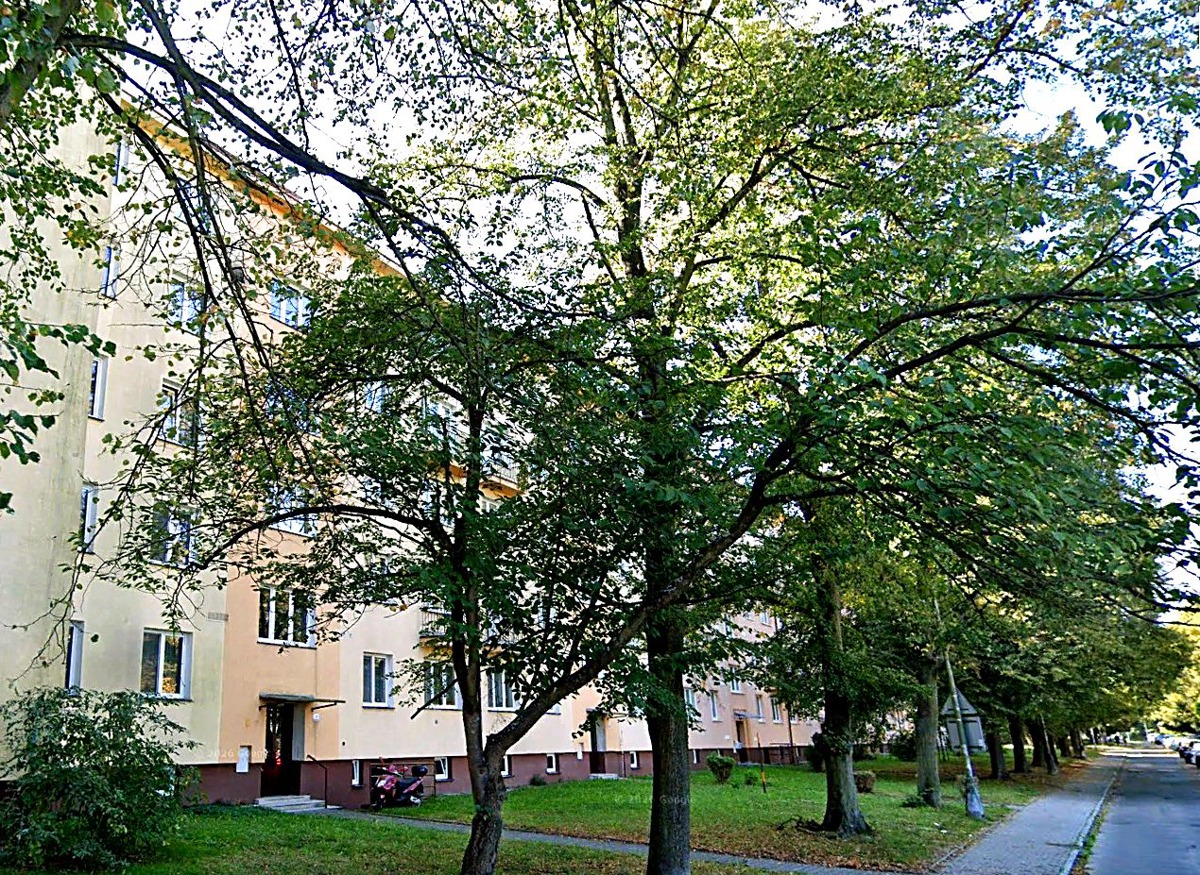 Фото 1 - Продаж квартири · 2+1 · 53 m²