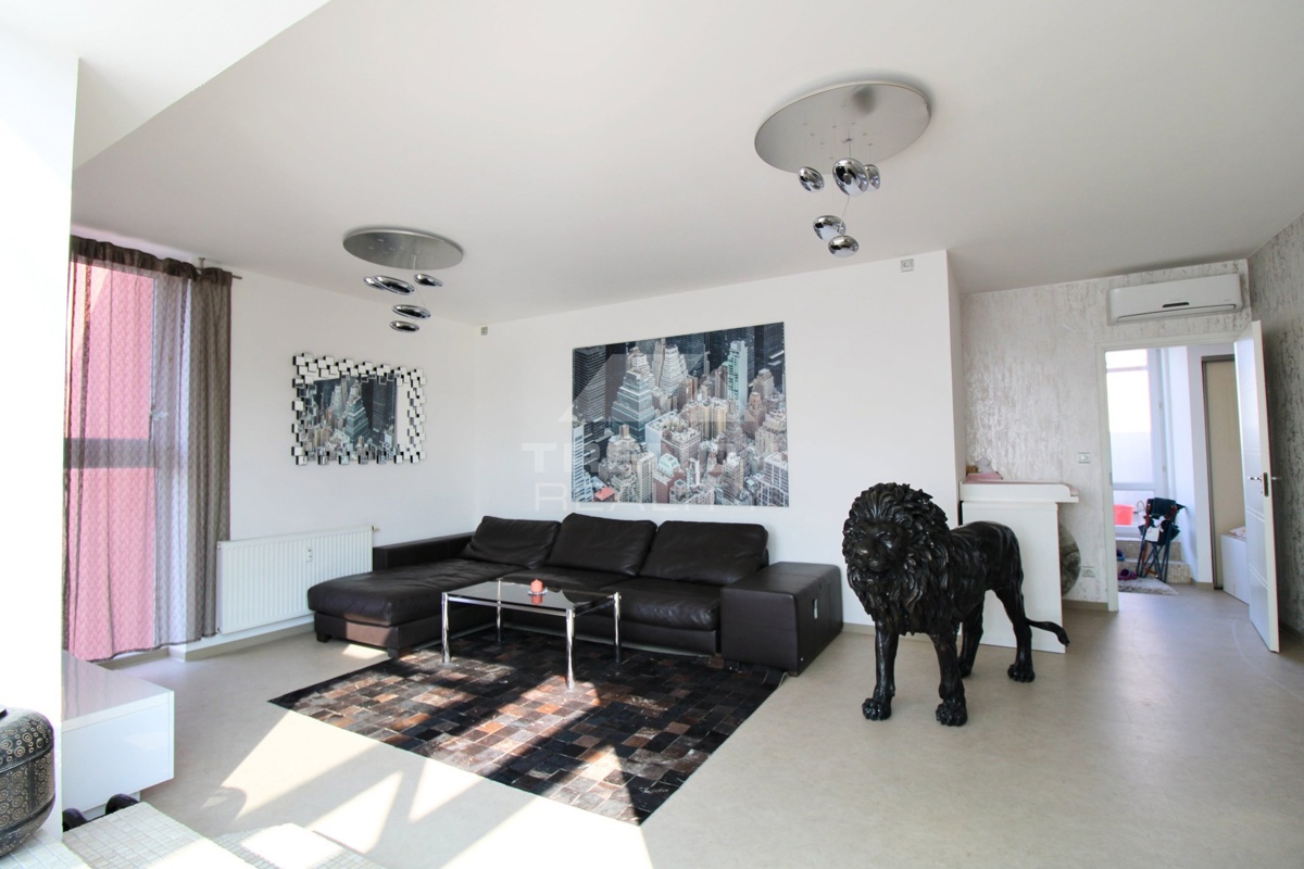 Fotografie 1 - Pronájem bytu · 3+kk · 250 m²