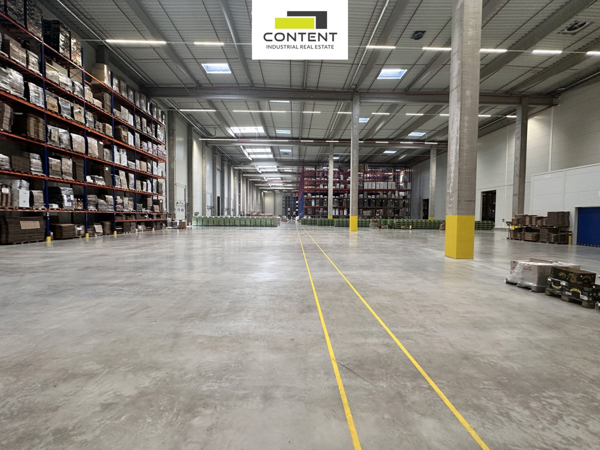 Fotografie 2 - Pronájem komerční nemovitosti · 3 000 m²