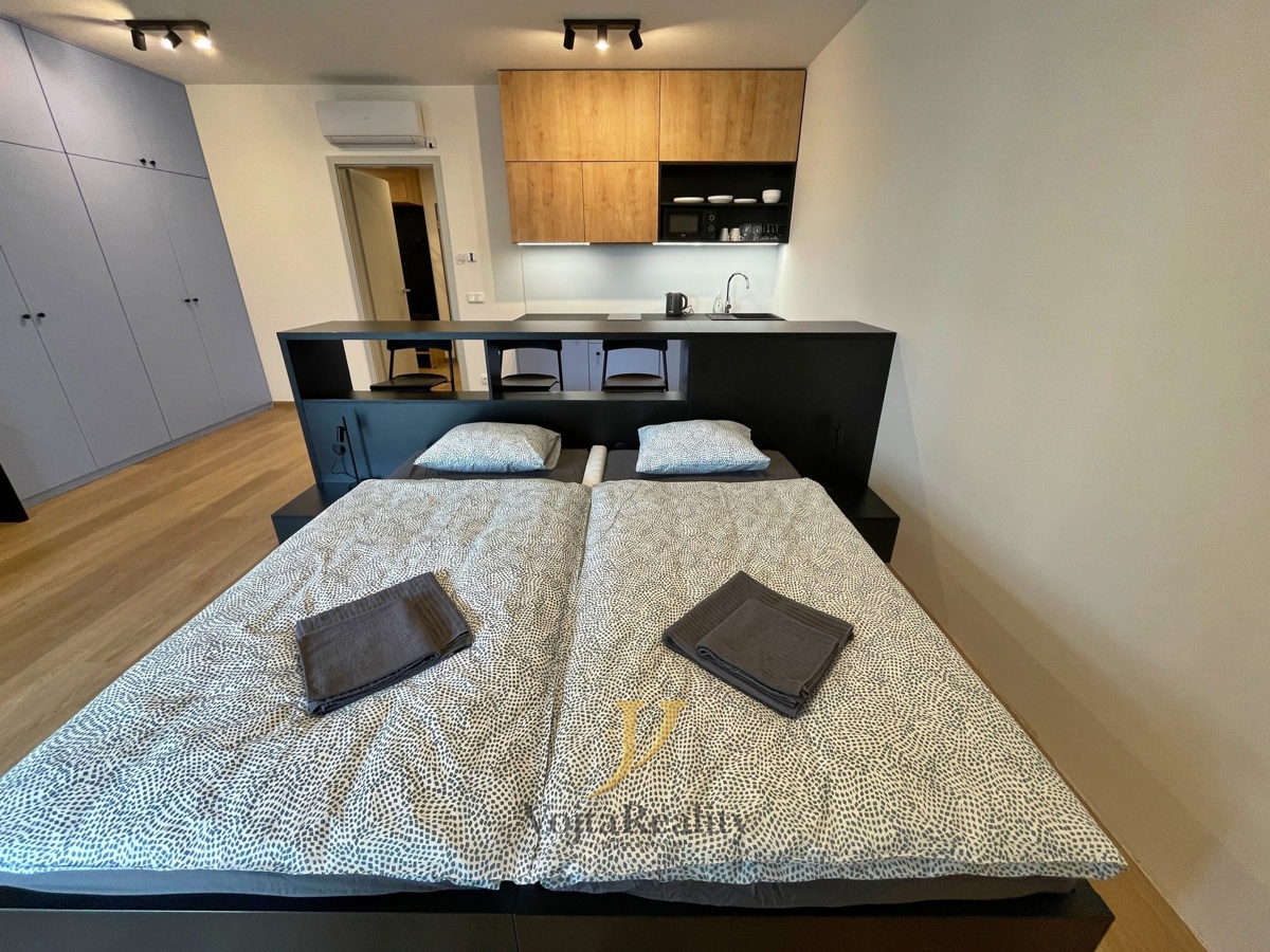 Hình ảnh 1 - Căn hộ cho thuê · 1+kk · 43 m²