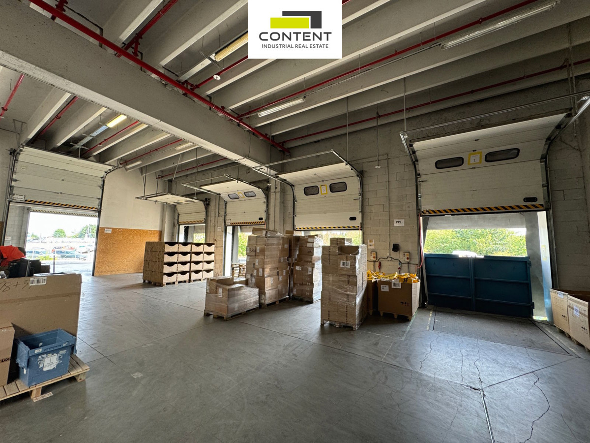 Photo 3 - Commercial property for rent · 11 000 m²