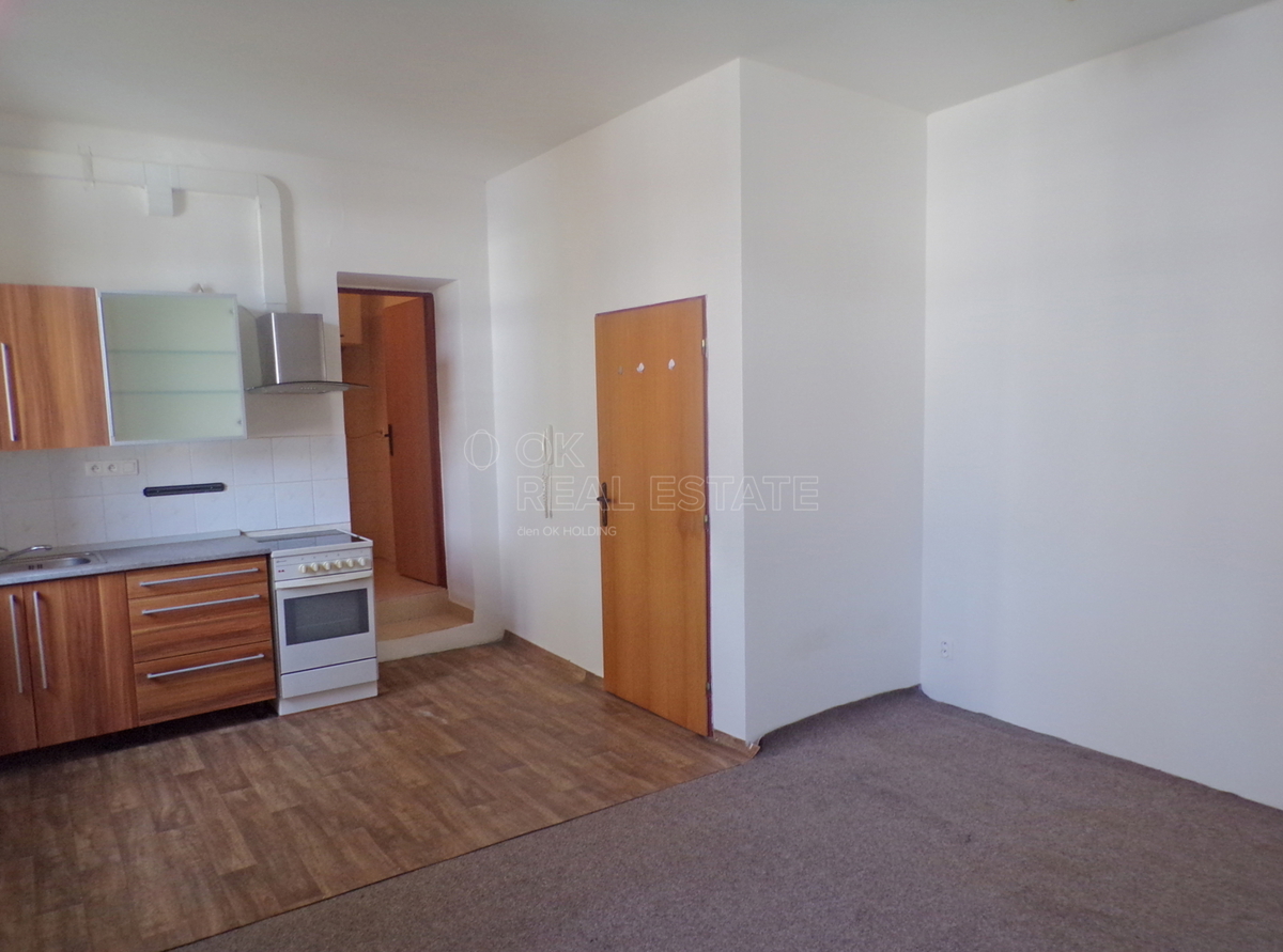 Photo 1 - Apartment for rent · 1+kk · 30 m²