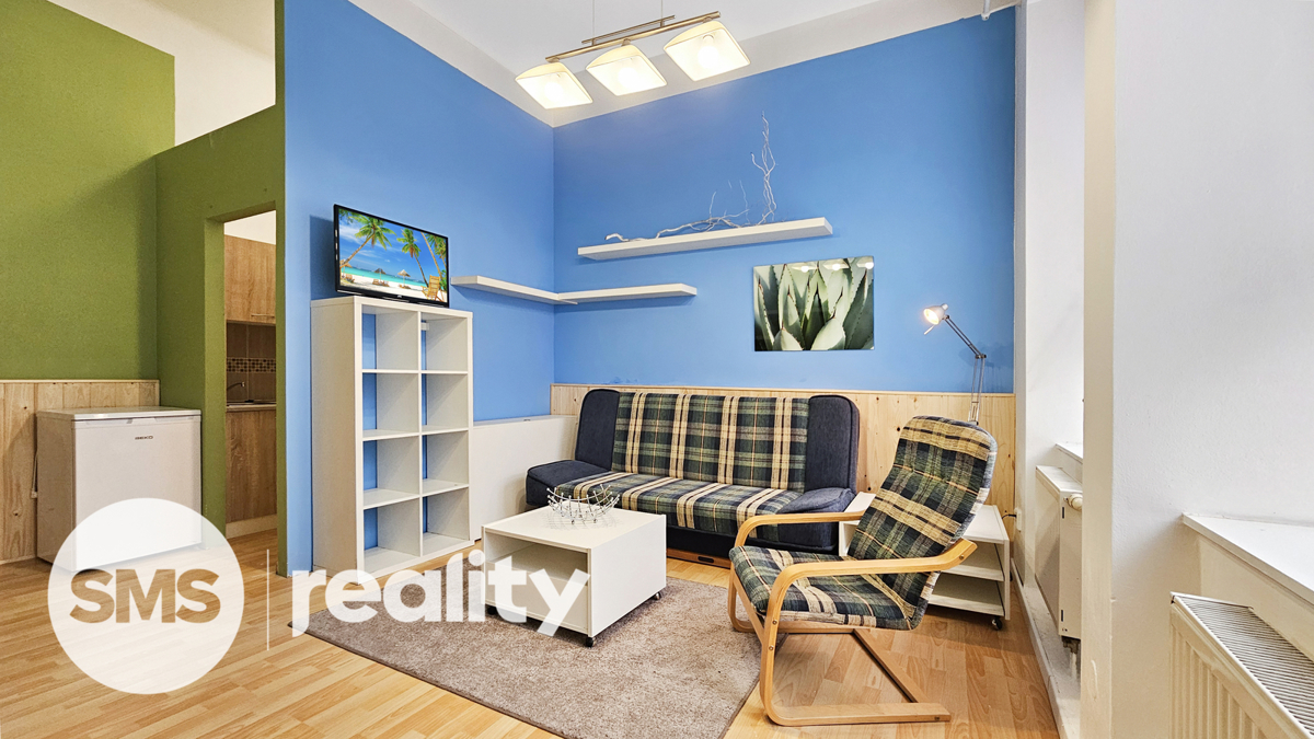 Fotografie 1 - Pronájem bytu · 1+kk · 32 m²