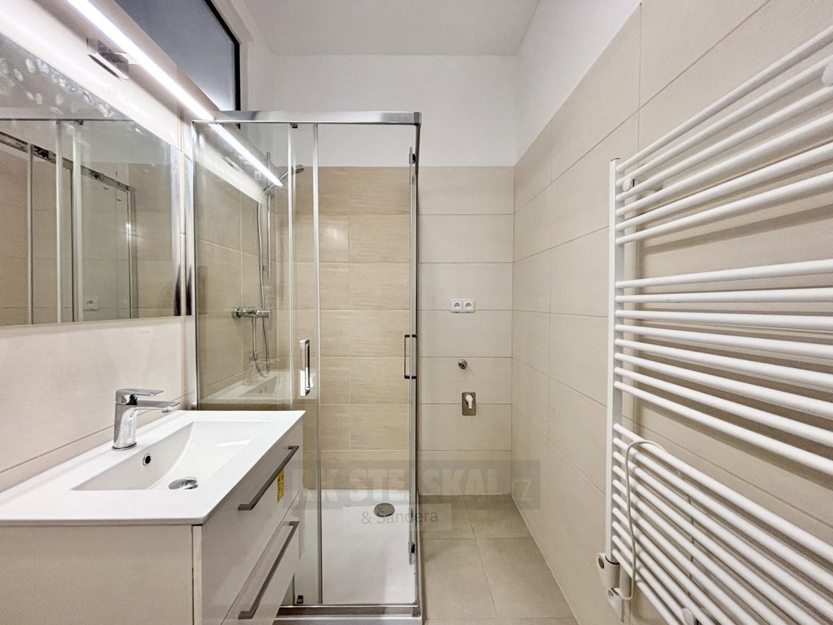 Hình ảnh 3 - Căn hộ cho thuê · 1+1 · 39 m²
