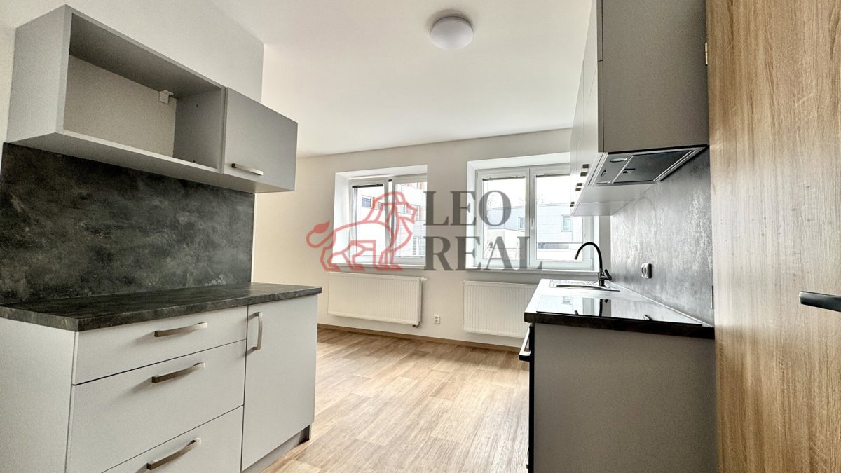 Fotografie 1 - Pronájem bytu · 1+kk · 31 m²
