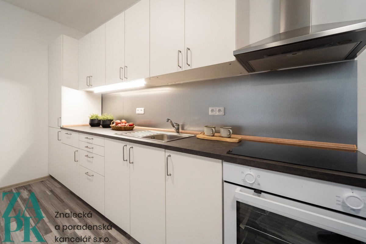 Hình ảnh 2 - Căn hộ cho thuê · 1+kk · 55 m²