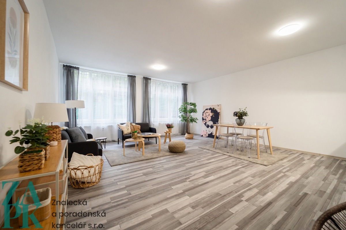 Hình ảnh 1 - Căn hộ cho thuê · 1+kk · 55 m²