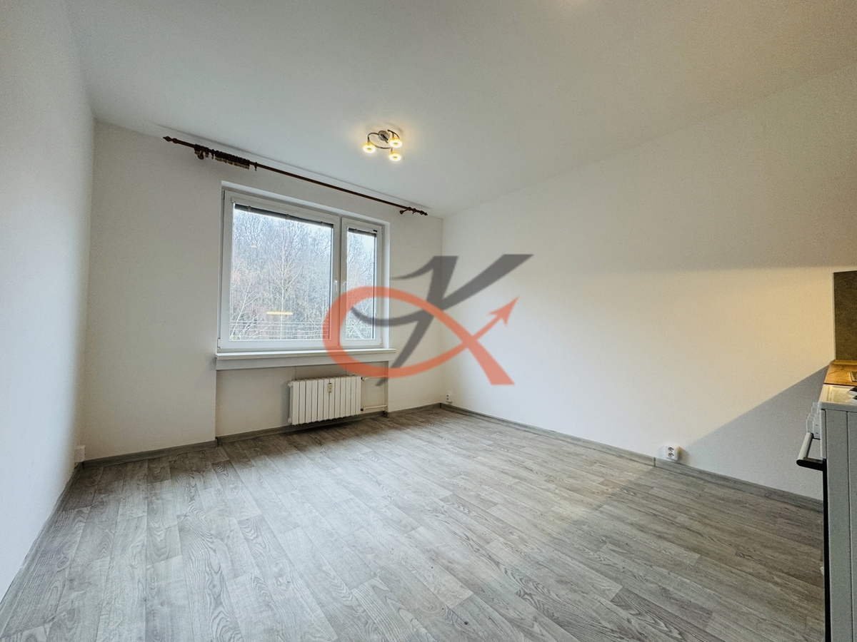 Photo 2 - Apartment for rent · 1+kk · 21 m²