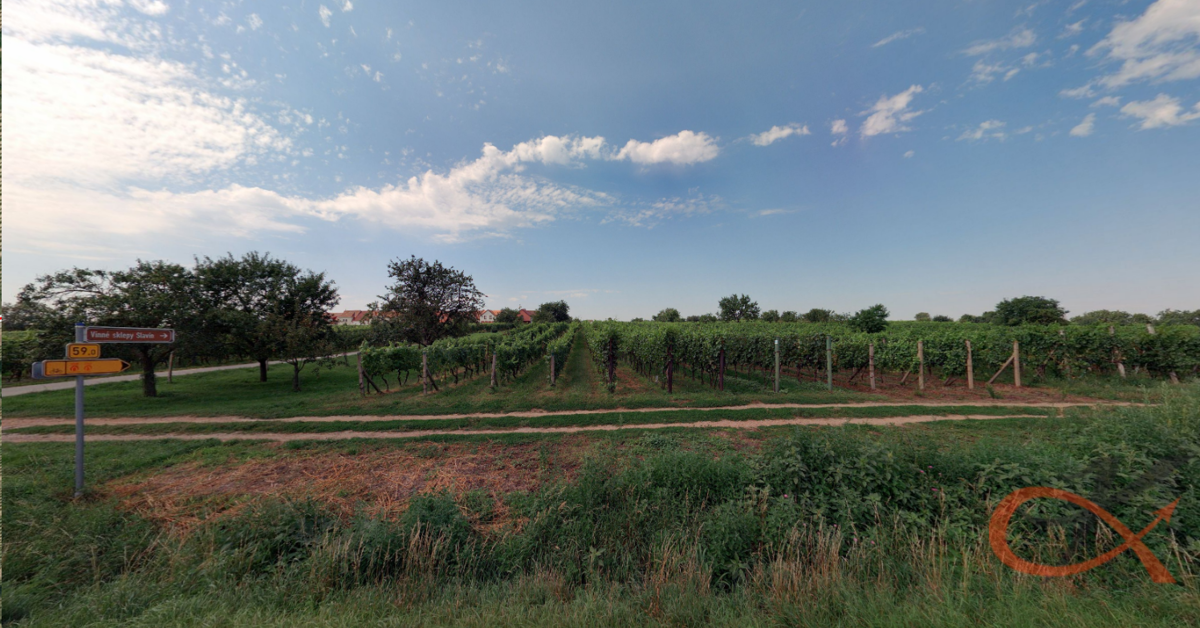 Fotografie 1 - Prodej pozemku · Vinice · 1 366 m²