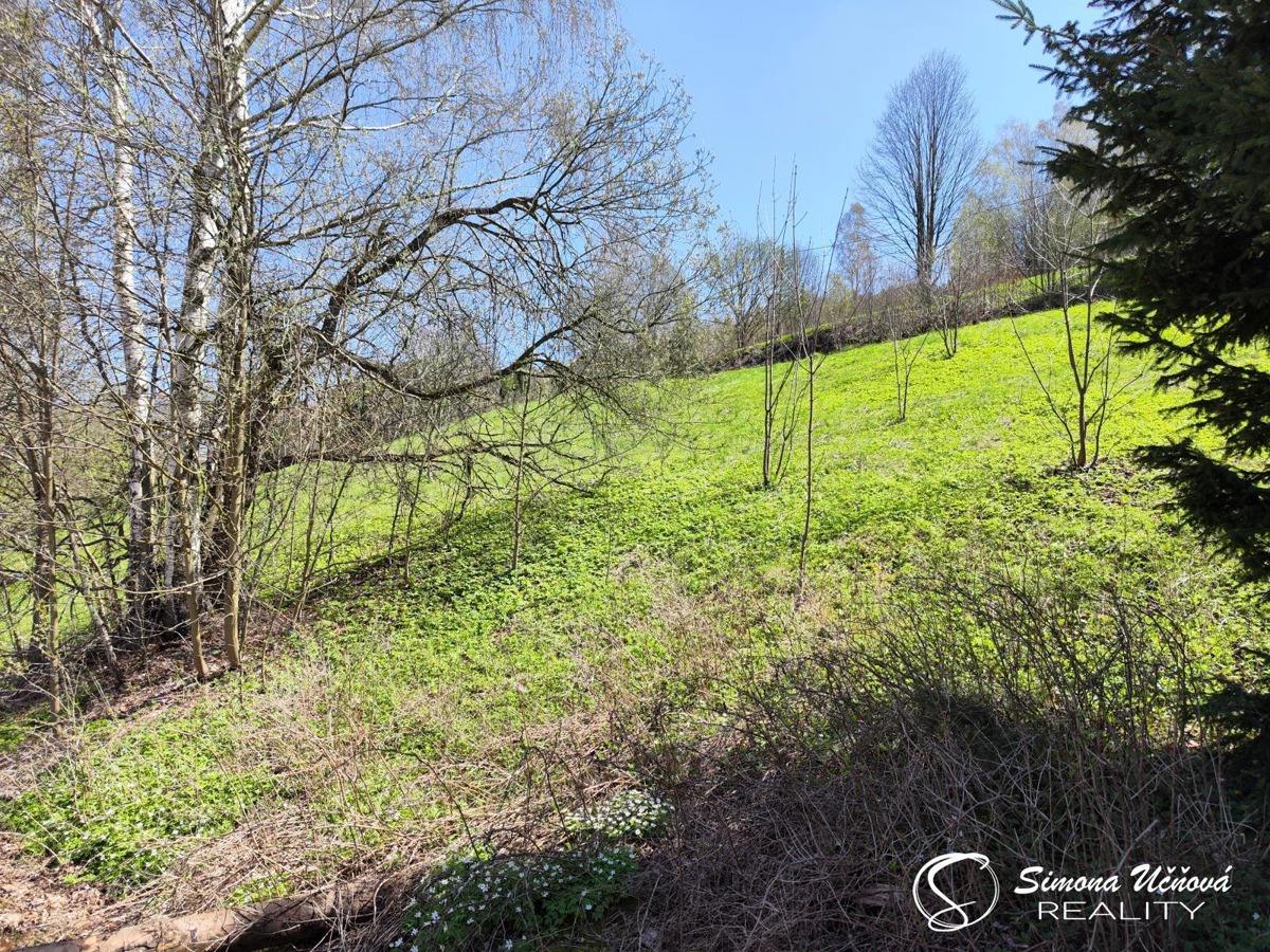 Photo 4 - Land for sale · Garden · 1 237 m²