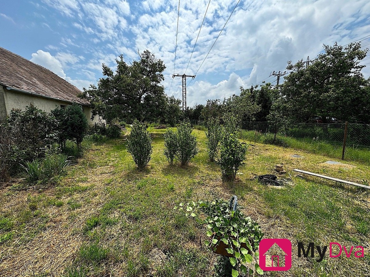 Photo 3 - Land for sale · Garden